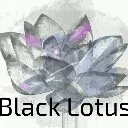b00ster029966