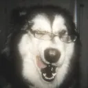 bonkbonk