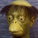 avatar PoPo ʕ◉ᴥ◉ʔ