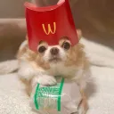 cassiecoww