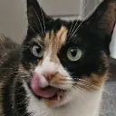 jpeakey