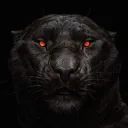 blackhc666