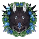 caninethistles