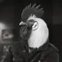 _corococo_ avatar