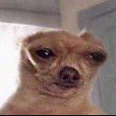 lajder#2316's avatar