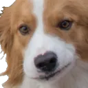 stabmrstabby