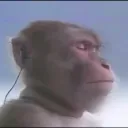 g1nk69