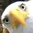 theghostofrazgriz