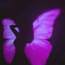 avatar ༺   𝔪𝔦𝔡𝔷𝔶   ༻