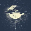 nocturnecaligo