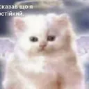 rutukute
