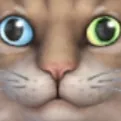 dylanklepacs5898