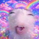 meowzow