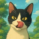 its.davy