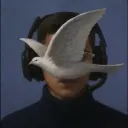 mmateuspaz