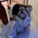 avatar † 𝐴𝑟𝑟𝑖𝑛𝑔𝑡𝑜𝑛