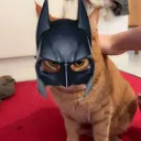 holgerhannibal