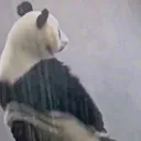 _sokre_