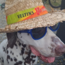 avatar Sempiternal 💚