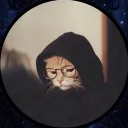 ttvzippex