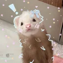 eclipsebear7
