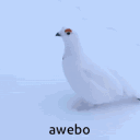 avatar Cursed Microwave