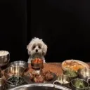 binkynjade