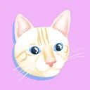 justchoupy