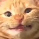 sudgyo