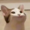 thebigtijn