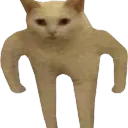 aplplayz