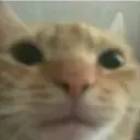 noahm_