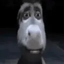 9.1