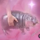 tinybludragon