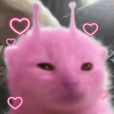 avatar Bun ִֶָ☾.