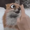 trotax