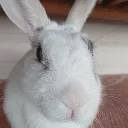 kasualplayz
