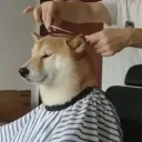 asian_warlord