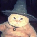 avatar Monsieur Chat