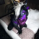 nuefox