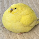 avatar Obese Birdo