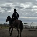 tempedroid
