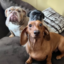 lightyear01#9600's avatar