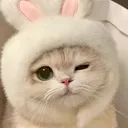 senamii