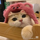 avatar salmoo ⊱✿⊰