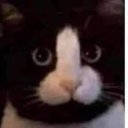 illusive3 member profile picture