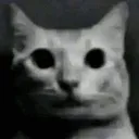 linx7757