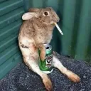 Khorne Bread's Avatar