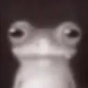 aiuandreiu