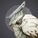 daedonas